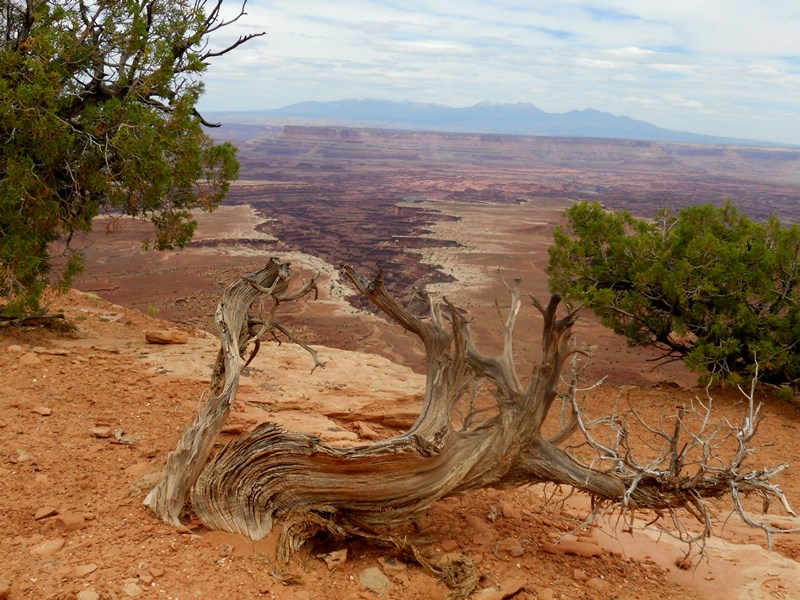 Canyonland - Moab (UT)